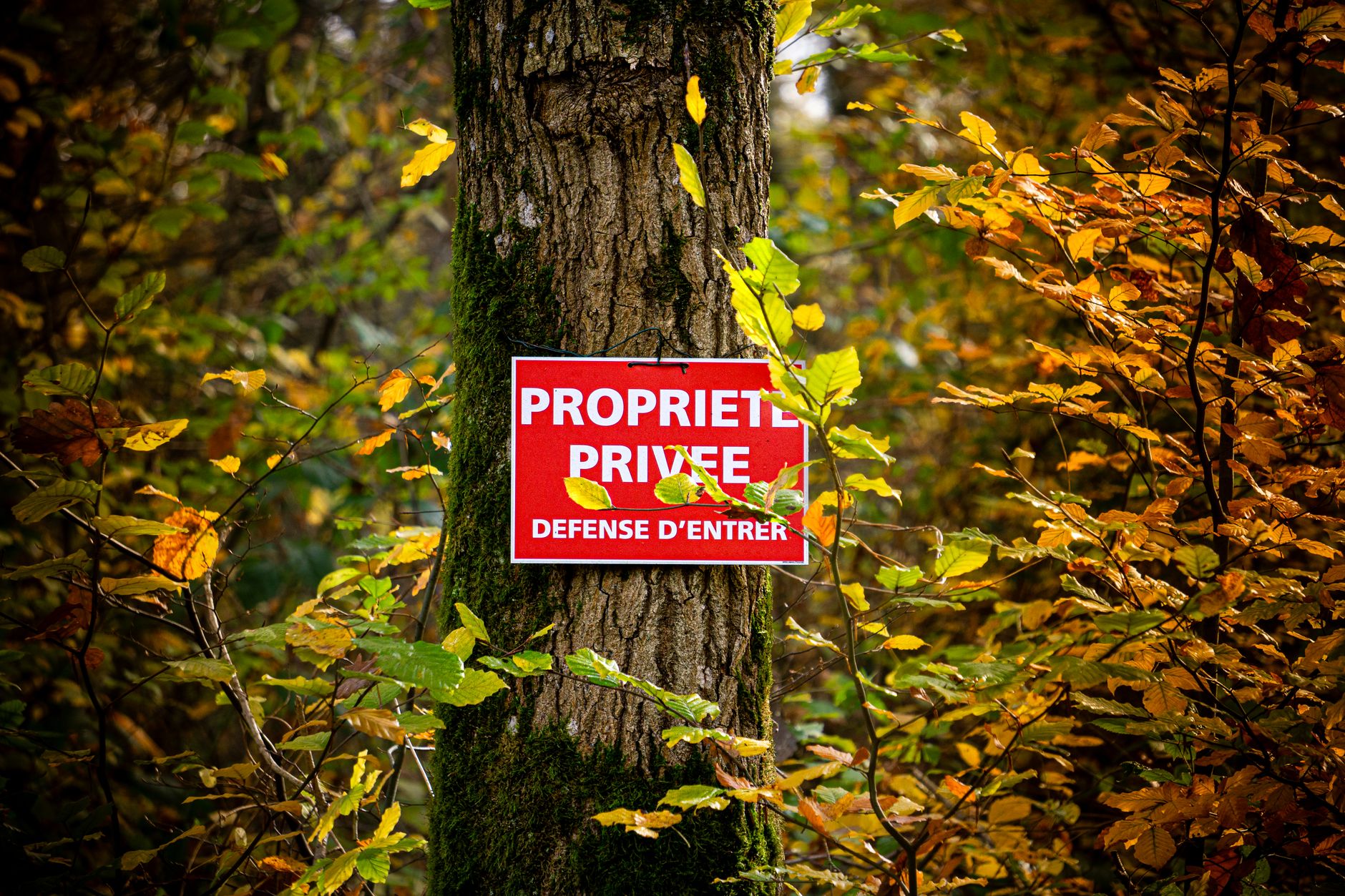 Détective privé à Aulnay-sous-Bois
